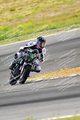 media/Apr-13-2024-Classic Track Day (Sat) [[9dd147332a]]/Group 3/Session 3 (Turn 3)/